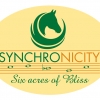 Synchronicity