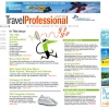 Travel Professional